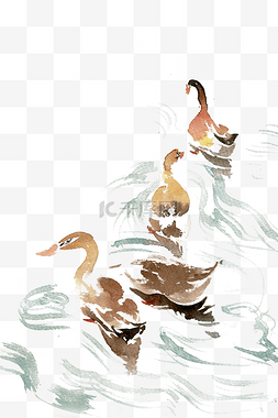 游泳的鸭子素材图片_觅食的鸭子水墨