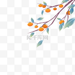 立秋树叶图片_冬季植物食物柿子