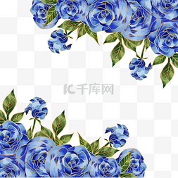 蓝色玫瑰花玫瑰花图片_蓝色植物玫瑰花蓝金花朵花卉