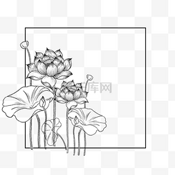 花卉黑白手绘图片_手绘黑白线稿荷花花卉边框