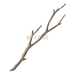 冬天的树枝图片_干光秃秃的树枝的插图。