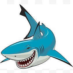 大白鲨英文图片_白鲨