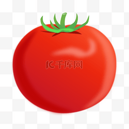 西红柿西红柿图片_弥散风蔬菜西红柿