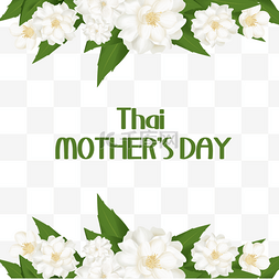 节日白色图片_泰国母亲节节日白色茉莉花边框