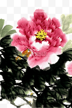 鲜艳的粉色花朵图片_盛开的牡丹花水墨