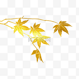 秋季金箔鎏金枫叶