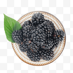 新鲜水果图片_黑莓果新鲜水果