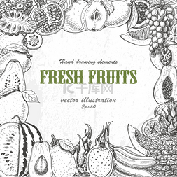水果产品图片_矢量背景与异国情调的水果 