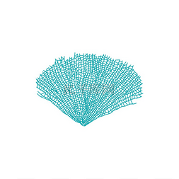 戈尔戈尼亚海软珊瑚孤立的海藻图