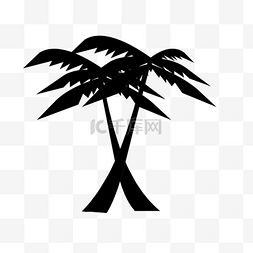 棕榈树剪影两棵
