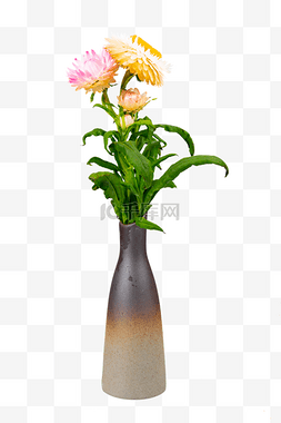 唯美鲜花瓶插花