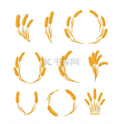 小麦穗矢量插图集平面设计新收获