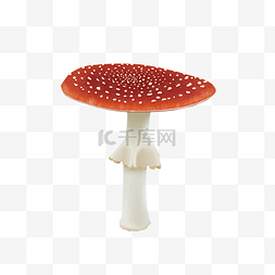 红伞伞图片_秋天食物蘑菇仿真