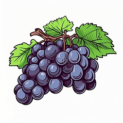 一串紫色的葡萄水果