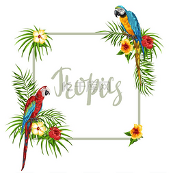 热带鹦鹉图片_带鹦鹉的热带框架棕榈叶芙蓉花和