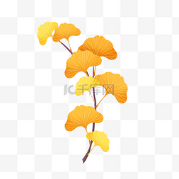 秋天黄色树叶图片图片_秋季秋天银杏叶植物