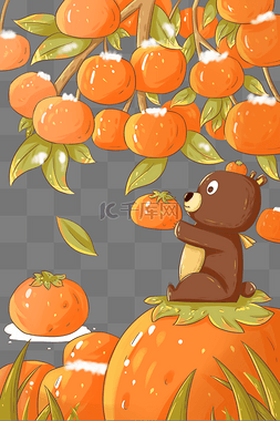 霜降可爱的小熊在柿子上接柿子