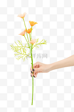 手拿花束蔷薇