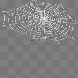 蜘蛛吐丝蛛网