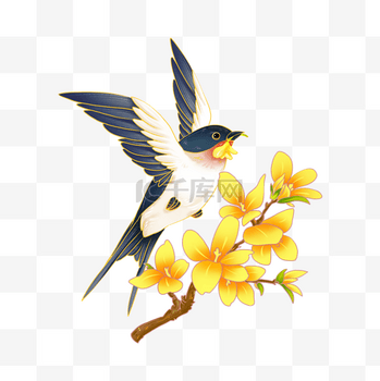 立春二十四节气节令小燕子春燕迎春花