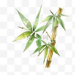 卡通宝石风的竹子