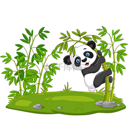矢量竹子图片_可爱有趣的熊猫宝宝挂在竹子上的