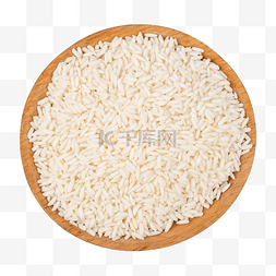 餐饮食材糯米