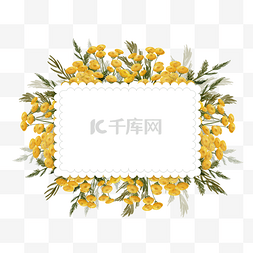 艾菊花卉水彩简约边框