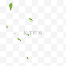 绿色放大镜小图标图片_绿色模糊树叶落叶