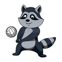 体育图片_卡通浣熊球员角色与排球运动或吉