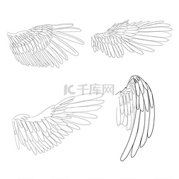 鹰的翅膀卡通图片_线条风格的鸟类翅膀。