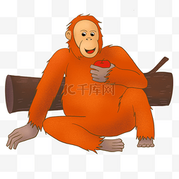 卡通红色猩猩吃苹果剪贴画