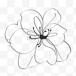 茉莉黑色线条花卉花朵抽象画