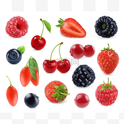 森林莓果。甜的水果。3d 矢量图标