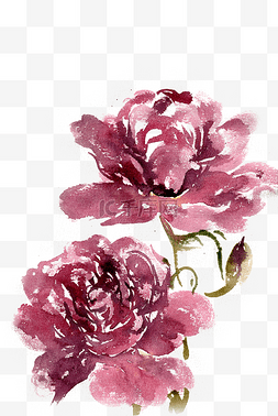 紫红的牡丹花水墨