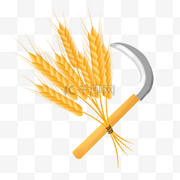 芒种收割麦子