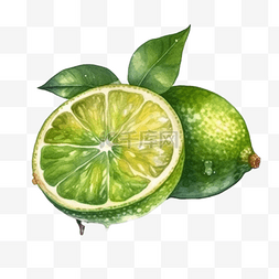 柠檬水果插画图片_卡通手绘水果柠檬青柠