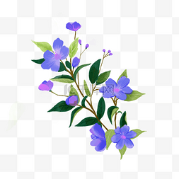 水彩风格一束紫色花朵