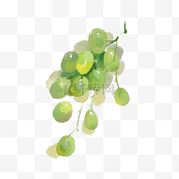 绿色手绘图片_手绘水彩水果葡萄青提手账贴纸