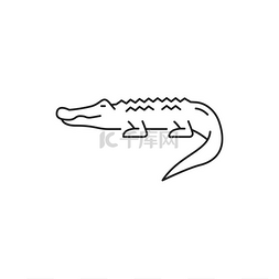 野生鳄鱼美洲鳄鱼孤立的细线图标