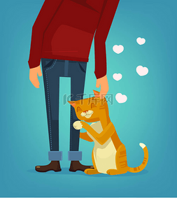 可爱的猫性格拥抱他的主人。矢量