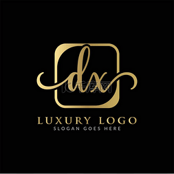 Initial DX Letter Logo Creative Modern Typogr