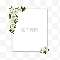 长方形背景纹理图片_白玫瑰花边框