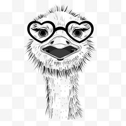 鸵鸟头戴眼镜框的鸵鸟