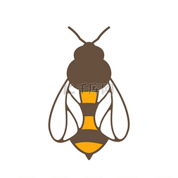 蜜蜂插图商业食品和农业的形象蜜