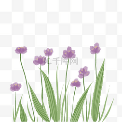 清新文艺花卉图片_扁平风植物紫色桔梗草丛花丛花卉