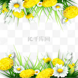 黄色菊花边框元素