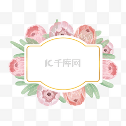 玫瑰卡罗拉图片_普罗蒂亚花卉水彩边框