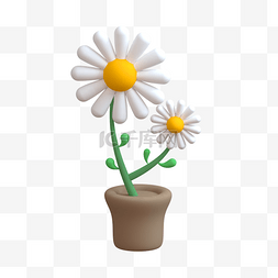 3D植物小雏菊
