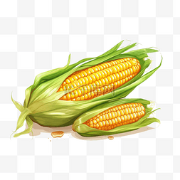 长腿玉米图片_扁平插画手绘免抠元素玉米